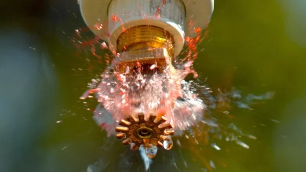 How Long Does It Take for a Fire Sprinkler to Activate