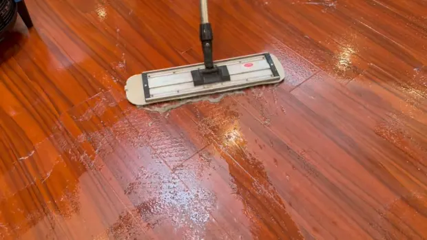 Clean Up Vomit on Hardwood Floor