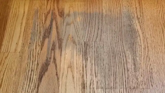 What Causes Dark Spots On Hardwood Floors