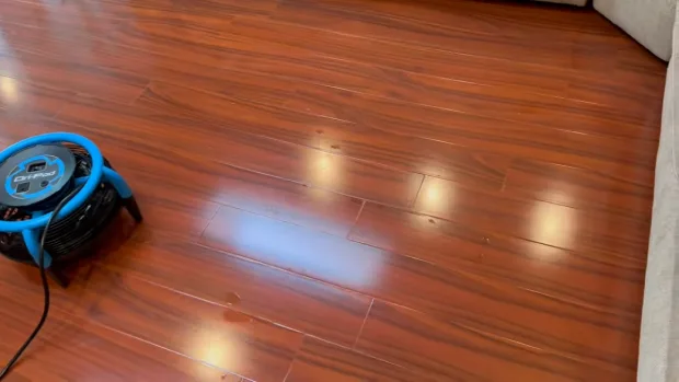 What shouldn't you use on hardwood floors when cleaning vomit