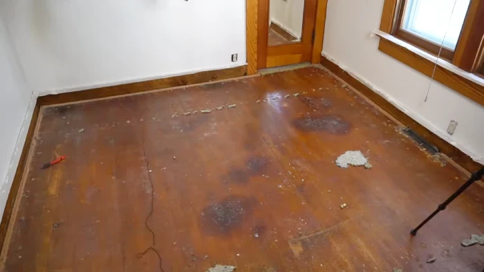 How to Clean a Hardwood Floor After Removing Carpet: 9 Steps [DIY]