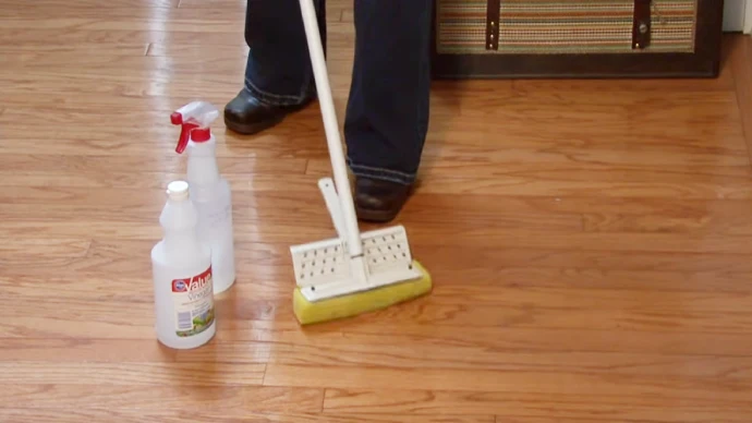 How To Clean Up Vomit On Hardwood: 5 Steps [Proven]
