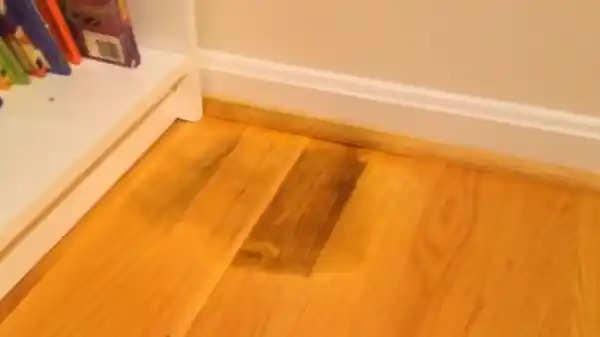 Follow these steps to clean cat litter off hardwood floors