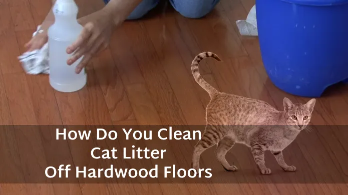How Do You Clean Cat Litter Off Hardwood Floors: Five Steps [DIY]