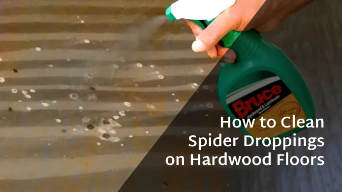 How to Clean Spider Droppings on Hardwood Floors: 7 DIY Steps [Effective]