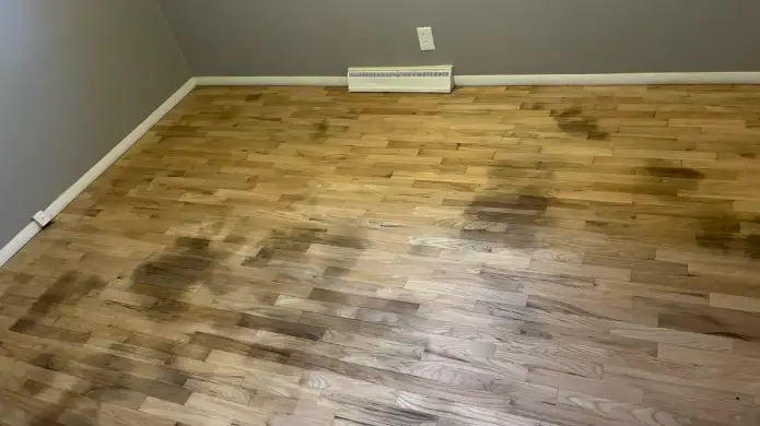 Why Is My Engineered Wood Floor Turning Black: 4 Reasons [Covered]