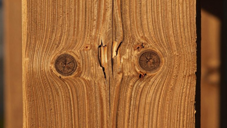 natural defects in wood