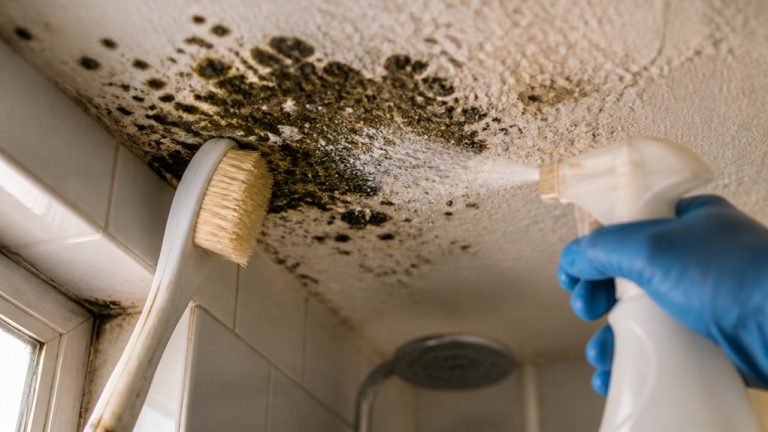 remove bathroom ceiling mold