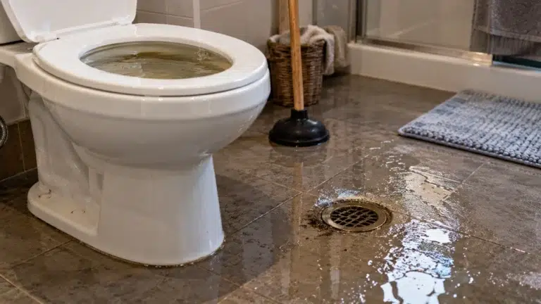 How to Tell if Your Sewer Is Backed Up